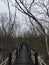 lonely Feeling solitary pale walkway forest mangrove forest.