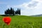 A lonely field poppy standing on a Tuscan field