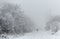 Lonely figure of human on a snowy road during the snowfalls in w