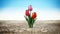 Lonely flower standing on cracked soil. 3D illustration