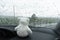Lonely fluffy white bear doll sitting in car while raining weather with water drop on transparent glass window background