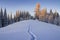 Lonely footpath in the deep snow high in the mountain forest