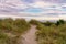 Lonely footpath through the sand dunes