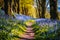 Lonely Footpath through some blue bell flowers in a forest landscape