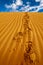 Lonely footprints on desert sand dune