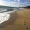 Lonely footprints on a sandy beach