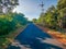 A lonely forest road route with trees and plants on both sides