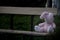 Lonely forgotten abandoned teddy toy bunny rabbit sat on an old wooden bench and waiting for owner.