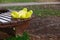 Lonely forgotten soft frog toy lying on the bench in park waiting for owner.