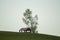 Lonely gazebo on the hill. summerhouse under tree standing alone in the field. solitude concept