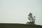 Lonely gazebo on the hill. summerhouse under tree standing alone in the field. solitude concept