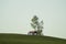 Lonely gazebo on the hill. summerhouse under tree standing alone in the field. solitude concept