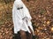 A lonely ghost in the autumn forest, in a white sheet with sunglasses, wipes and examines the black glasses of another ghost.