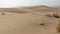Lonely girl walks along the sand dunes