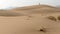 A lonely girl walks along the sand dunes