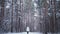 A lonely girl walks in a pine forest in winter