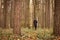 Lonely girl in the woods. A woman aged 20-24 is walking through the autumn forest and thinking about the future. Mind and bod.