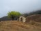 Lonely green tree above a dilapidated crypt on a misty mountainside. Old family crypt on a misty mountain slope. Jeyrah gorge,