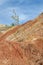Lonely green tree growing in an orange clay desert. Ural refractory clay quarries
