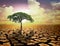 Lonely green tree under dramatic evening sunset sky at drought