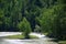 A lonely growing tree on a rocky island in the center of a swift mountain river