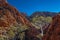 Lonely Gum tree Standley Chasm, Larapinta trail