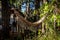 Lonely hammock among shade, sunlight and trees near the beach. Concept of relax, peace, resting and spare time