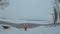 A lonely happy woman wearing a red jacket is approaching a half-frozen lake with moody cloudy weather