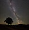 Lonely high tree under starry night sky and Milky way