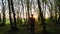 Lonely hiker walking through dense evening woods with tall trees and bright yellow sunlight shining on horizon at sunset