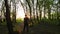 Lonely hiker walking through dense evening woods with tall trees and bright yellow sunlight shining on horizon at sunset. Nature e