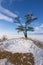 Lonely holy tree and rock Shamanka Olkhon island in lake Baikal