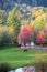 Lonely horse on picturesque autumn meadow with trees and pond