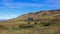 Lonely horse ranch in Patagonia