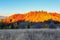 Lonely hut stands high in the mountain meadow, behind which opens a view of the multicolored autumn Carpathian forest.