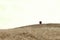 A lonely hut stands in the mountains, it serves as a shelter for shepherds in bad weather