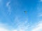 A lonely kite flying high in the sky of the Ameland island in th