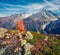 Lonely larch tree in the hil in Vallon de Berard Nature Preserve, France, Europe. Stunning autumn view of Graian ALps, Chamonix lo