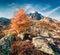 Lonely larch tree on the hill in Vallon de Berard Nature Preserve, France, Europe. Wonderful autumn view of Graian ALps, Chamonix