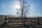 Lonely leafless tree in flat mountain range in Irkutsk, Baikal lake, Russia