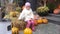 Lonely little girl scared sitting on the street Halloween with pumpkins on the background
