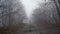 Lonely lost man in blue tourist jacket walking on wet foggy forest road using walking sticks