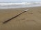 A lonely lost wooden peddle that washed up on the beach