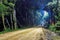 Lonely man on forest road, night landscape