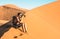 Lonely man photographer sitting on sand at Dune 45 in Sossusvlei Namibia