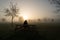 Lonely man silhouette sitting on a bench on a foggy morning