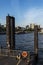 A lonely man sitting on a pier in Hamburg, Germany