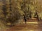 Lonely man walking by an empty bench in an autumn forest park.