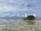 Lonely mangrove tree.Reflection of blue sky,clouds in water.Low tide,calm place