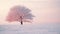 Lonely Maple In Snowfield: Serene And Peaceful Ambiance With Faint Red Morning Light